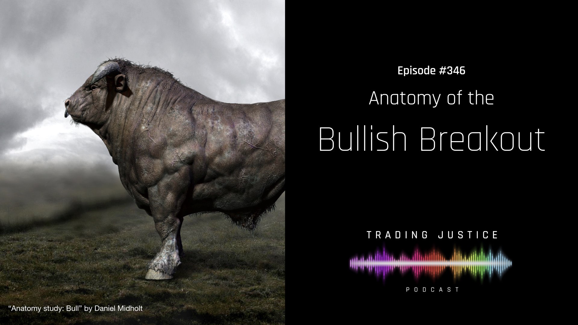 Episode 346: Anatomy of the Bullish Breakout | Trading Justice Podcast (Image: Anatomy study: Bull by Daniel Midholt)