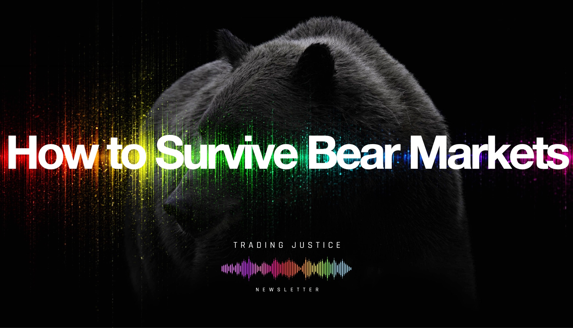 How to Survive Bear Markets | Trading Justice Newsletter Vol. 53