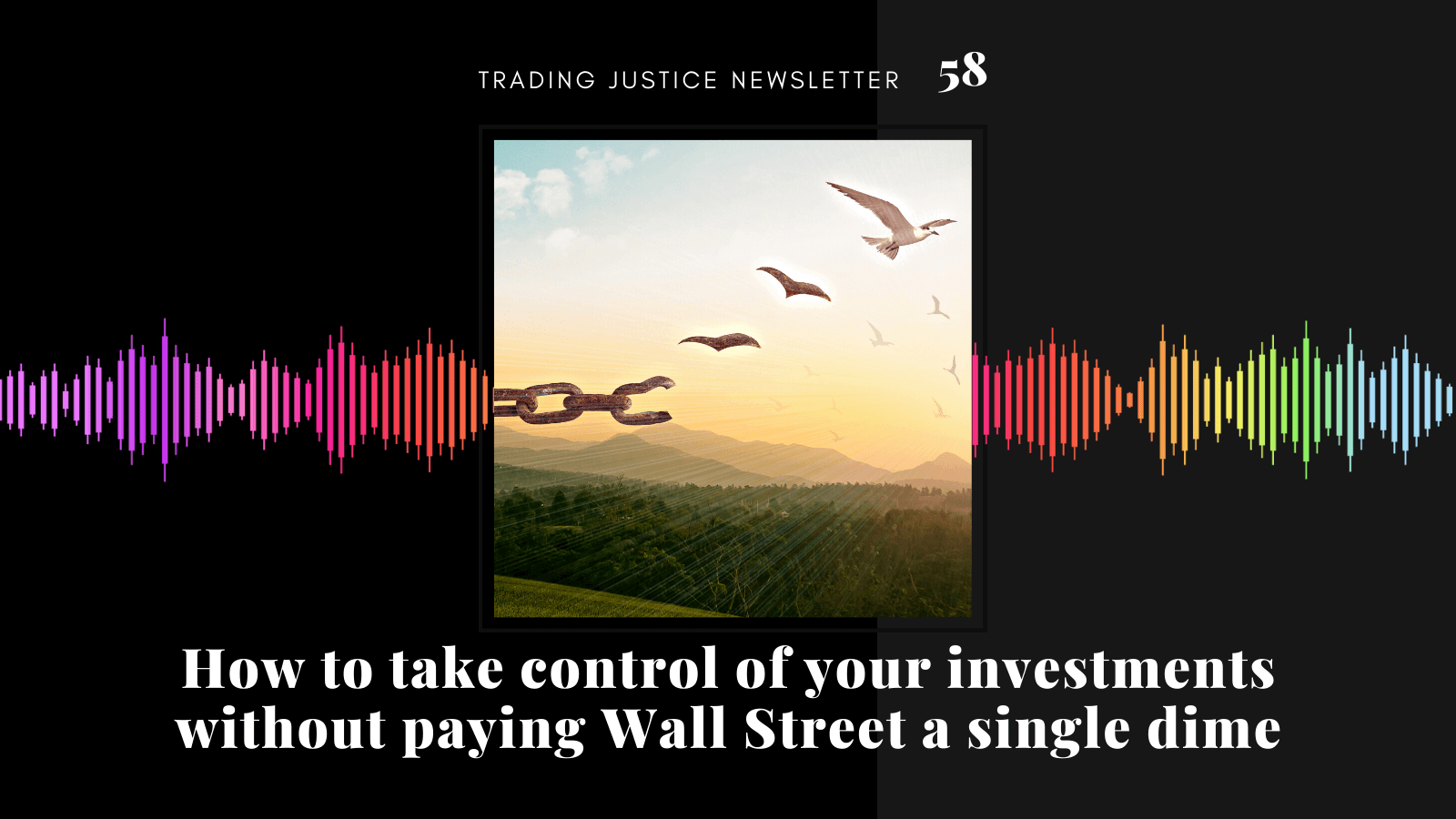 How to take control of your investments without paying Wall Street a single dime | Trading Justice Newsletter Vol. 58